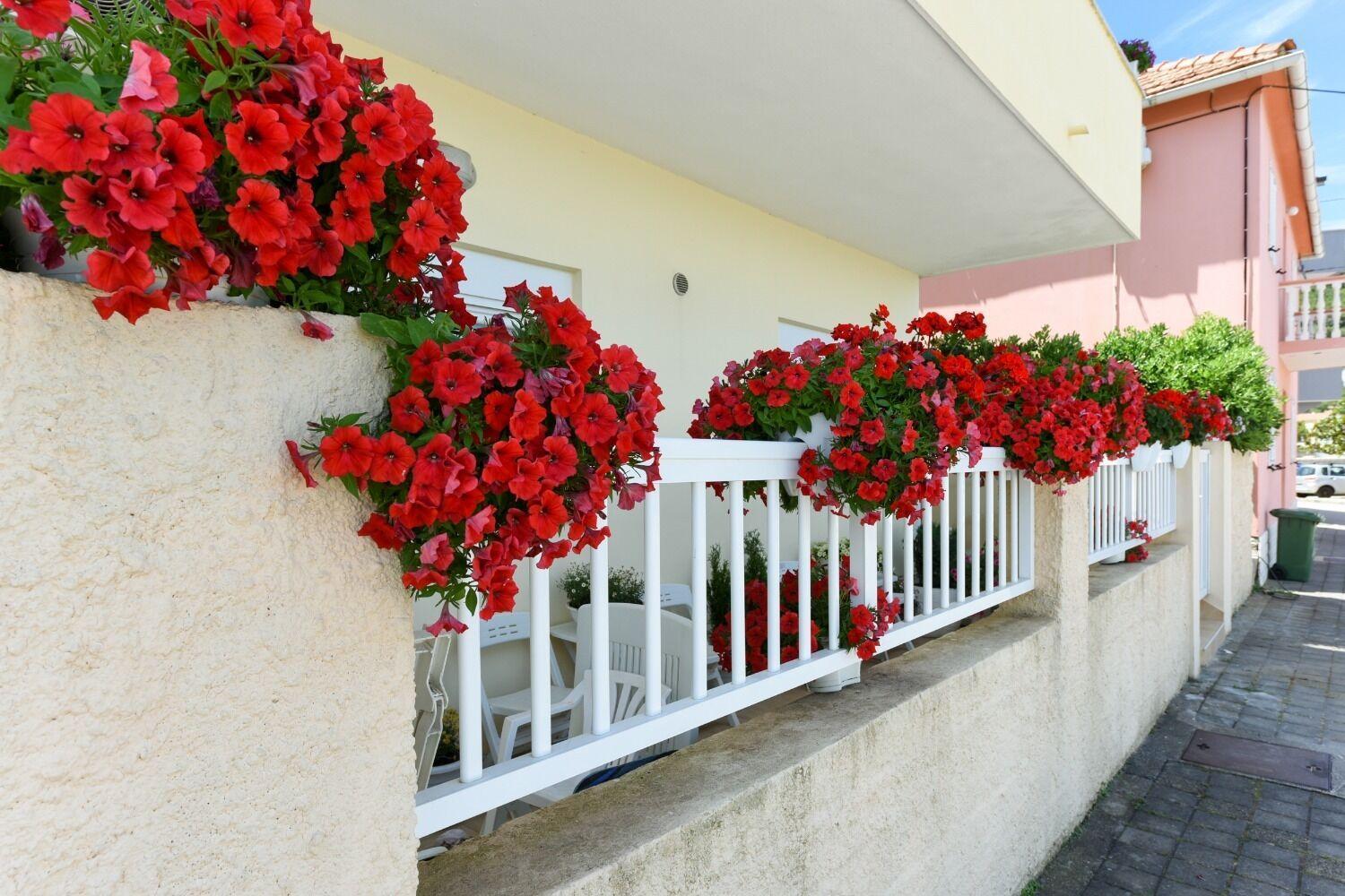 Apartments Kolt - 15M From Sea Kali Εξωτερικό φωτογραφία